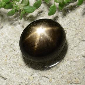 3.31캐럿 천연 검정색 스타 사파이어, 타원형 컷, 8.3×7.3 mm, 불투명체