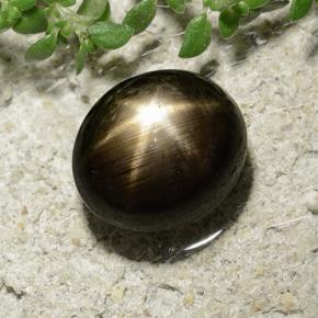 3.31캐럿 천연 검정색 스타 사파이어, 타원형 컷, 8.3×7.3 mm, 불투명체