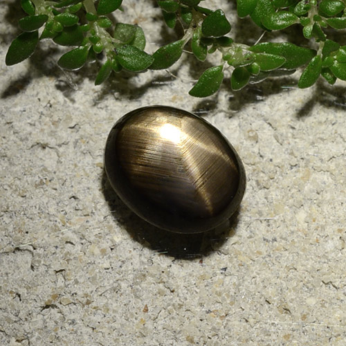2.10캐럿 천연 검정색 스타 사파이어, 타원형 컷, 8.2×6.4 mm, 불투명체