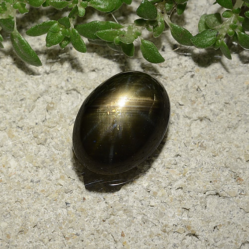 2.47캐럿 천연 검정색 스타 사파이어, 타원형 컷, 8.8×6.5 mm, 불투명체