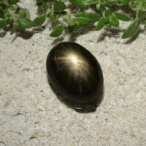 2.47캐럿 천연 검정색 스타 사파이어, 타원형 컷, 8.8×6.5 mm, 불투명체