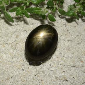2.47캐럿 천연 검정색 스타 사파이어, 타원형 컷, 8.8×6.5 mm, 불투명체