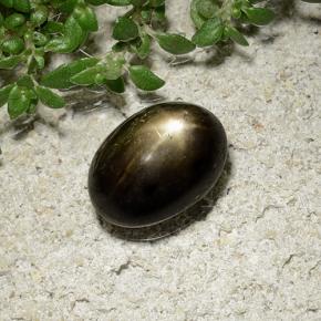 2.41캐럿 천연 검은색 스타 사파이어, 타원형 컷, 불투명체