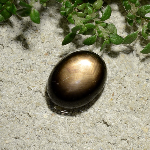 2.06캐럿 천연 검은색 스타 사파이어, 타원형 컷, 불투명체