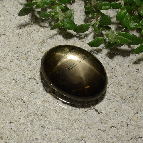 2.09캐럿 천연 검정색 스타 사파이어, 타원형 컷, 9.1×6.7 mm, 불투명체
