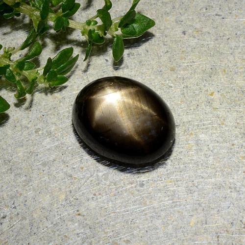 1.97캐럿 천연 검정색 스타 사파이어, 타원형 컷, 8.5×6.6 mm, 불투명체