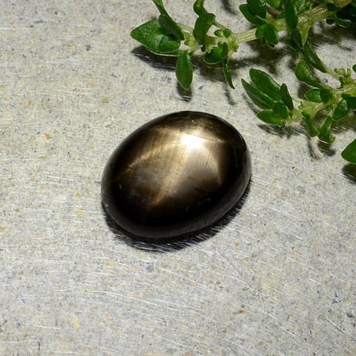 1.97캐럿 천연 검정색 스타 사파이어, 타원형 컷, 8.5×6.6 mm, 불투명체