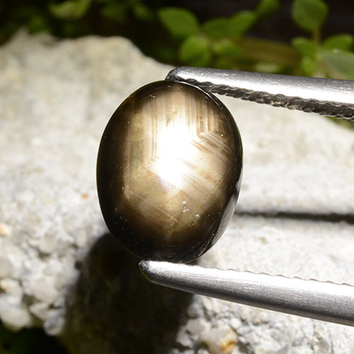 2.71캐럿 천연 검정색 스타 사파이어, 타원형 컷, 9.6×7.4 mm, 불투명체