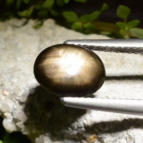 2.71캐럿 천연 검정색 스타 사파이어, 타원형 컷, 9.6×7.4 mm, 불투명체