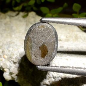 2.71캐럿 천연 검정색 스타 사파이어, 타원형 컷, 9.6×7.4 mm, 불투명체
