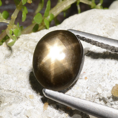 2.78캐럿 천연 검은색 스타 사파이어, 타원형 컷, 불투명체