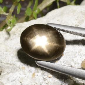 2.78캐럿 천연 검은색 스타 사파이어, 타원형 컷, 불투명체