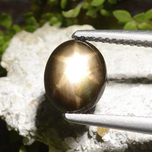 2.65캐럿 천연 검정색 스타 사파이어, 타원형 컷, 9.2×7.3 mm, 불투명체
