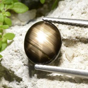 2.32캐럿 천연 검은색 스타 사파이어, 타원형 컷, 불투명체