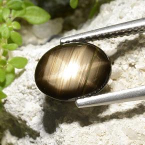 2.32캐럿 천연 검은색 스타 사파이어, 타원형 컷, 불투명체