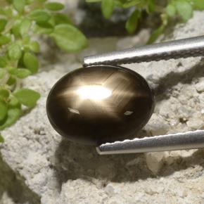 3.33캐럿 천연 검은색 스타 사파이어, 타원형 컷, 불투명체