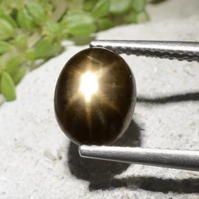 2.54캐럿 천연 검은색 스타 사파이어, 타원형 컷, 불투명체