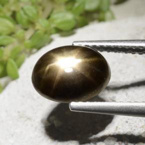 2.54캐럿 천연 검은색 스타 사파이어, 타원형 컷, 불투명체