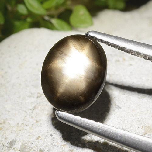 2.78캐럿 천연 검정색 스타 사파이어, 타원형 컷, 9.4×7.5 mm, 불투명체