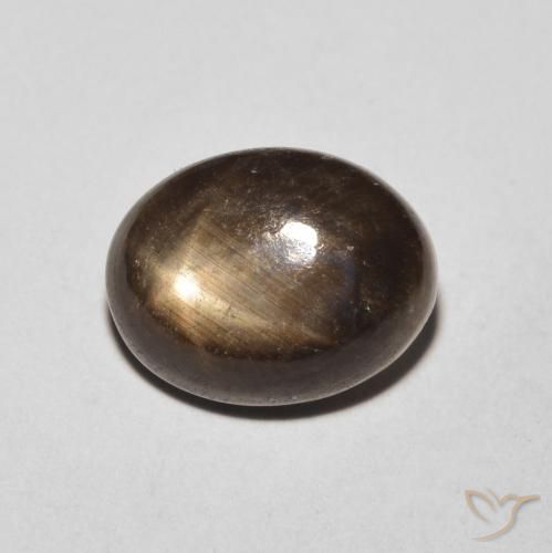 4.26ct 자연스러운 검은색 스타 사파이어, 타원형, 불투명체