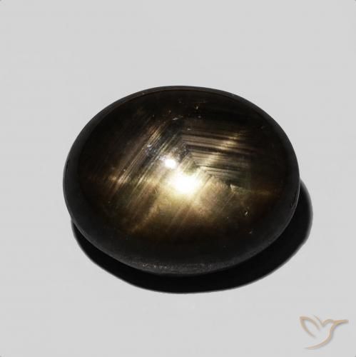 9.54ct 자연스러운 검은색 스타 사파이어, 타원형, 불투명체