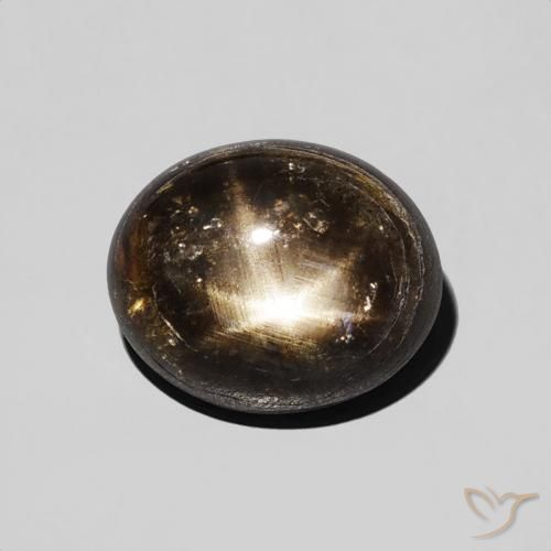 2.74ct 자연스러운 검은색 스타 사파이어, 타원형, 불투명체