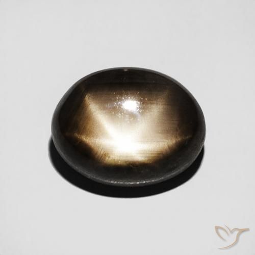 3.50ct 자연스러운 검은색 스타 사파이어, 타원형, 불투명체