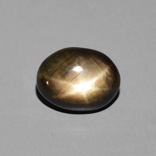 3.19ct 자연스러운 검은색 스타 사파이어, 타원형, 불투명체