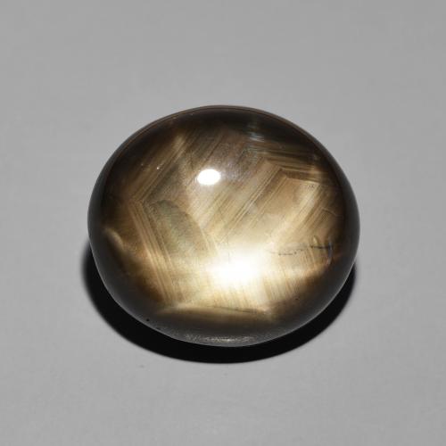 19.55ct 자연스러운 검은색 스타 사파이어, 타원형, 불투명체