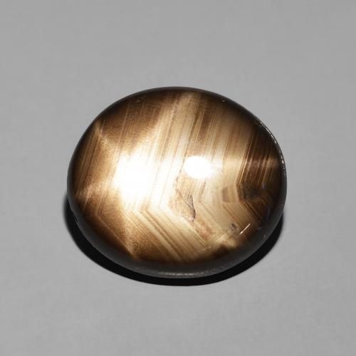 11.35ct 자연스러운 검은색 스타 사파이어, 타원형, 불투명체