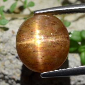 6.17캐럿 천연 골든 브라운 스타 선스톤, 타원형 컷, 불투명체