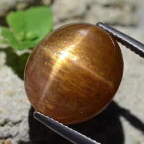 17.89캐럿 천연 골든 브라운 스타 썬스톤, 타원형 컷, 불투명체