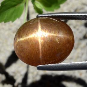12.64캐럿 천연 골든 브라운 스타 선스톤, 타원형 컷, 15×13.1 mm, 불투명체