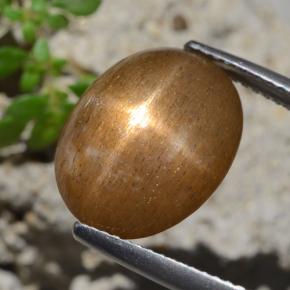 7.47캐럿 천연 골든 브라운 스타 썬스톤, 타원형 컷, 불투명체