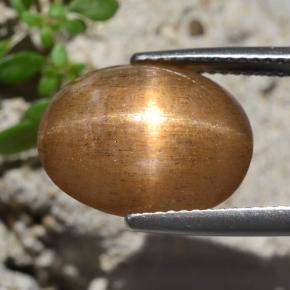 7.47캐럿 천연 골든 브라운 스타 썬스톤, 타원형 컷, 불투명체