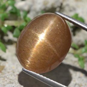 10.14캐럿 천연 골든 브라운 스타 선스톤, 타원형 컷, 14.3×11.4 mm, 불투명체