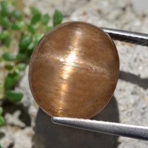 9.50캐럿 천연 골든 브라운 스타 선스톤, 타원형 컷, 13.9×12 mm, 불투명체