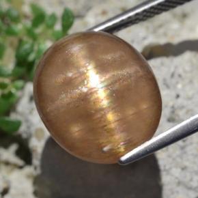 9.50캐럿 천연 골든 브라운 스타 선스톤, 타원형 컷, 13.9×12 mm, 불투명체