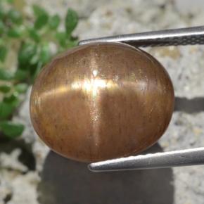 9.50캐럿 천연 골든 브라운 스타 선스톤, 타원형 컷, 13.9×12 mm, 불투명체