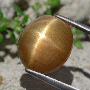 6.94캐럿 천연 골든 브라운 스타 선스톤, 타원형 컷, 12×10.4 mm, 불투명체