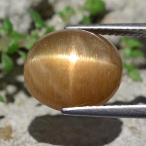 6.94캐럿 천연 골든 브라운 스타 선스톤, 타원형 컷, 12×10.4 mm, 불투명체