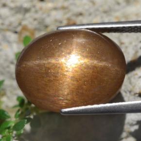 13.59캐럿 천연 골든 브라운 스타 썬스톤, 타원형 컷, 불투명체