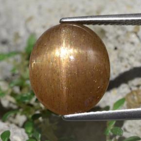 6.20캐럿 천연 골든 브라운 스타 선스톤, 타원형 컷, 불투명체