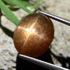 8.75캐럿 천연 골든 브라운 스타 썬스톤, 타원형 컷, 불투명체