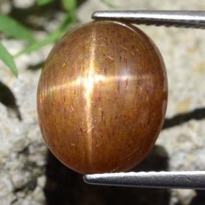 9.75캐럿 천연 골든 브라운 스타 썬스톤, 타원형 컷, 불투명체