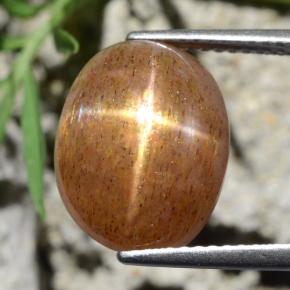 8.39캐럿 천연 골든 브라운 스타 썬스톤, 타원형 컷, 불투명체