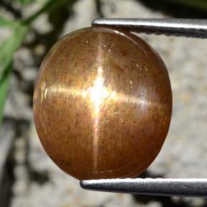 9.24캐럿 천연 골든 브라운 스타 썬스톤, 타원형 컷, 불투명체