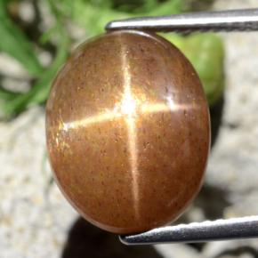 9.10캐럿 천연 골든 브라운 스타 썬스톤, 타원형 컷, 불투명체