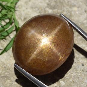 39.02캐럿 천연 골든 브라운 스타 선스톤, 타원형 컷, 불투명체