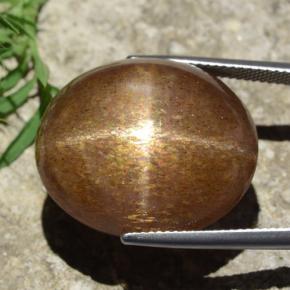 39.02캐럿 천연 골든 브라운 스타 선스톤, 타원형 컷, 불투명체